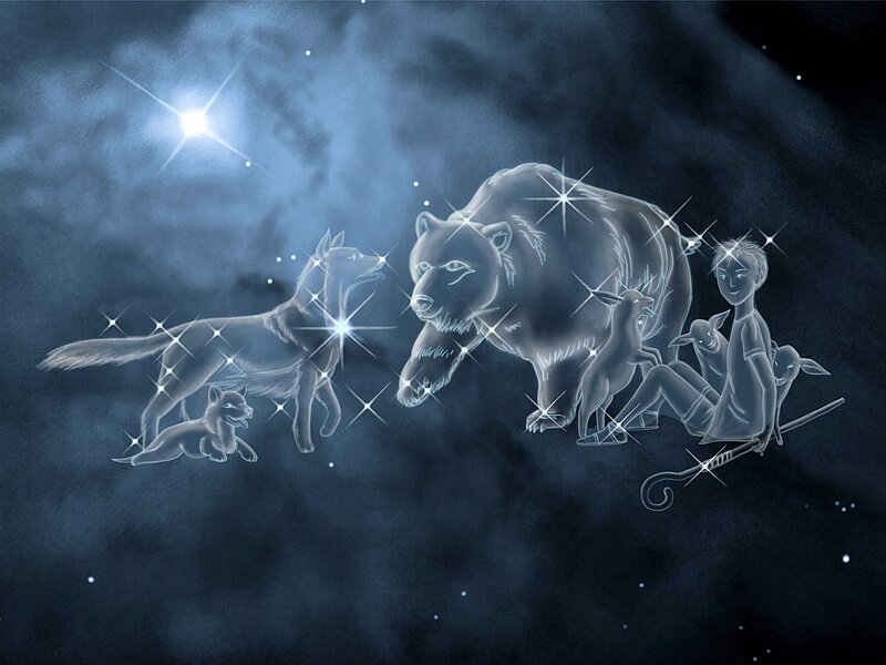 Bildliche Darstellung von Sternbildfiguren (Bär, Fuchs) vor dunklem Himmel