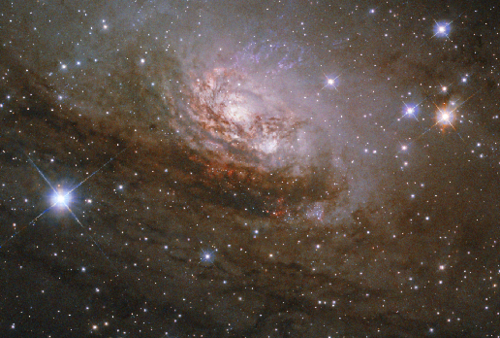 Astrofoto der Circinus-Galaxie mit kosmischen Nebeln in rötlichen Brauntönen mit zahlreichen Sternen